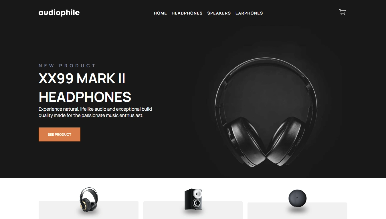 Audiophile E-commerce 0